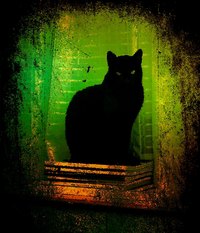 Ein schwarzer Kater sitzt auf einem Stapel Bücher vor einem Fenster. Der Hintergrund ist in verschiedenen Grüntönen verschwommen, mit einem Hauch von Orange. Der Kater ist gut sichtbar, mit leuchtenden Augen, die den Betrachter anstarren.