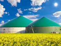 Grüne Fermenter stehen in einem gelben Rapsfeld unter einem blauen Himmel mit wenigen Wolken. Die Kuppeln sind groß und haben eine gewölbte Form. Das Bild vermittelt den Eindruck einer landwirtschaftlichen Umgebung oder einer Anlage zur Biogasproduktion.