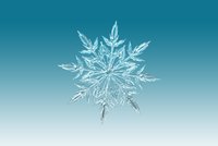 Ein kunstvoller, kristallklarer Schneeflockenentwurf mit symmetrischen, spitz zulaufenden Armen und filigranen Details. Der Hintergrund ist sanft in Blau- und Grüntönen gehalten, was den frostigen Eindruck verstärkt.